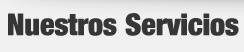 servicios